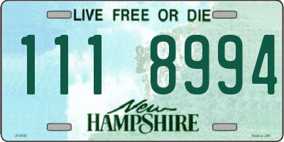 NH license plate 1118994