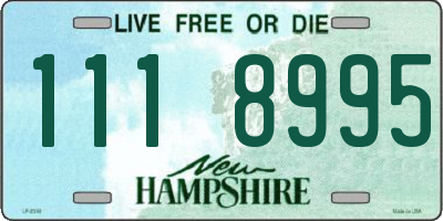 NH license plate 1118995