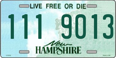 NH license plate 1119013