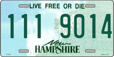 NH license plate 1119014