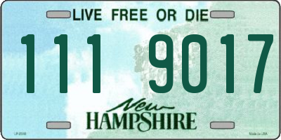 NH license plate 1119017