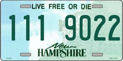 NH license plate 1119022