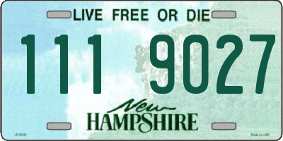 NH license plate 1119027