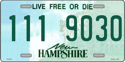 NH license plate 1119030