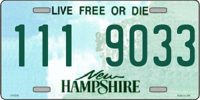 NH license plate 1119033