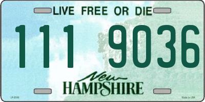 NH license plate 1119036
