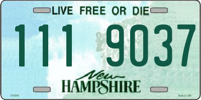 NH license plate 1119037