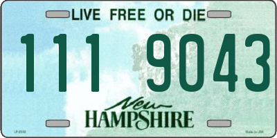 NH license plate 1119043