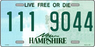 NH license plate 1119044
