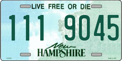 NH license plate 1119045