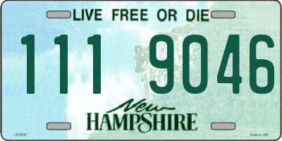 NH license plate 1119046