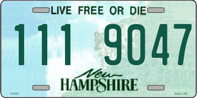NH license plate 1119047