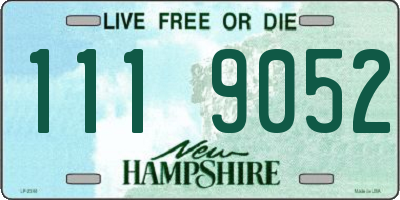NH license plate 1119052