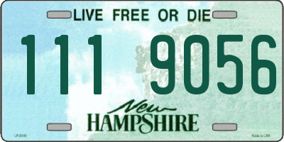 NH license plate 1119056