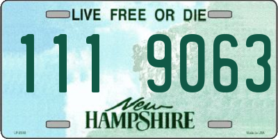 NH license plate 1119063