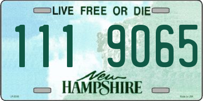 NH license plate 1119065
