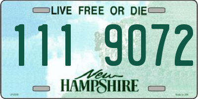 NH license plate 1119072