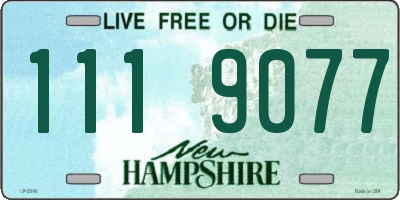 NH license plate 1119077