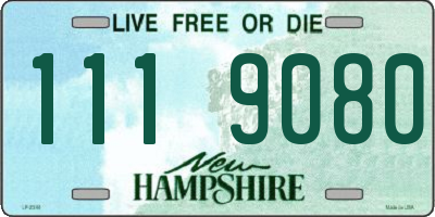 NH license plate 1119080