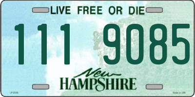 NH license plate 1119085