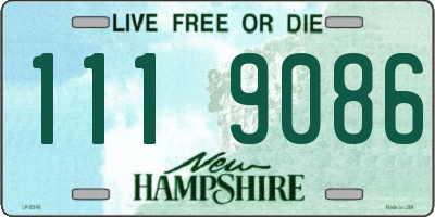 NH license plate 1119086
