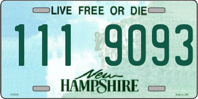 NH license plate 1119093