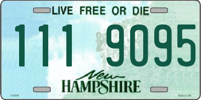 NH license plate 1119095
