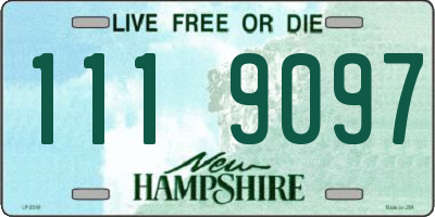 NH license plate 1119097