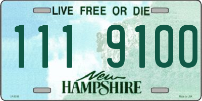 NH license plate 1119100