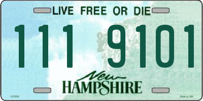 NH license plate 1119101