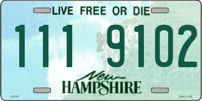 NH license plate 1119102