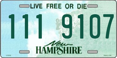NH license plate 1119107