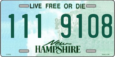 NH license plate 1119108