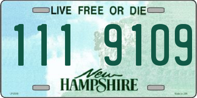 NH license plate 1119109