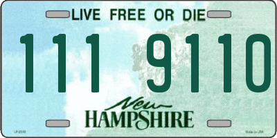 NH license plate 1119110