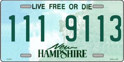 NH license plate 1119113