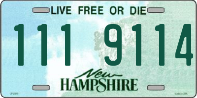 NH license plate 1119114