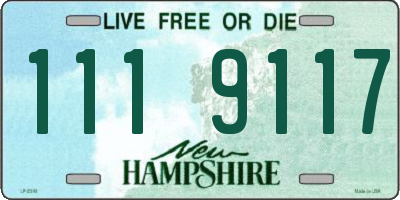 NH license plate 1119117
