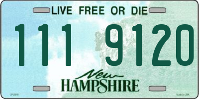 NH license plate 1119120