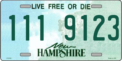 NH license plate 1119123