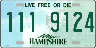 NH license plate 1119124