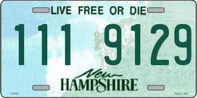 NH license plate 1119129