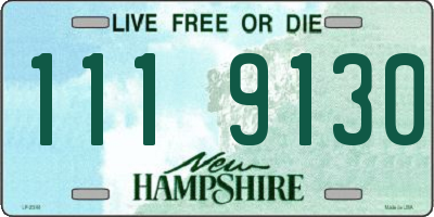 NH license plate 1119130