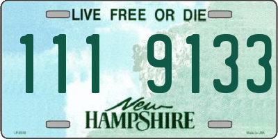 NH license plate 1119133