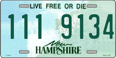 NH license plate 1119134