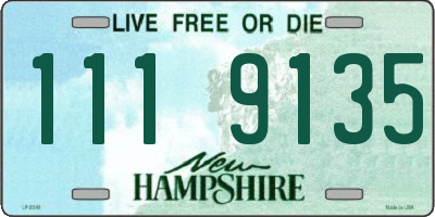 NH license plate 1119135