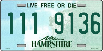 NH license plate 1119136