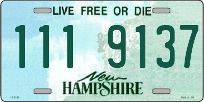NH license plate 1119137
