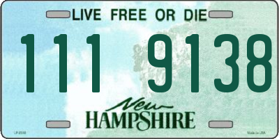 NH license plate 1119138