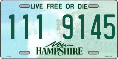 NH license plate 1119145